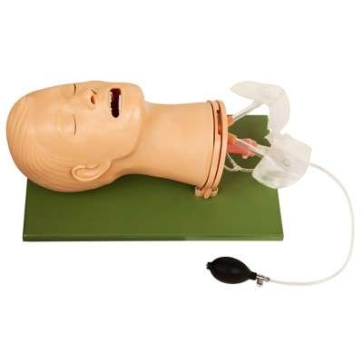 Best First Aid Mannequin Airway Management Model Suppliers in India ...